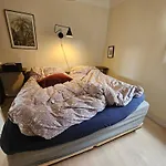 Cosy House, Central And Tranquil