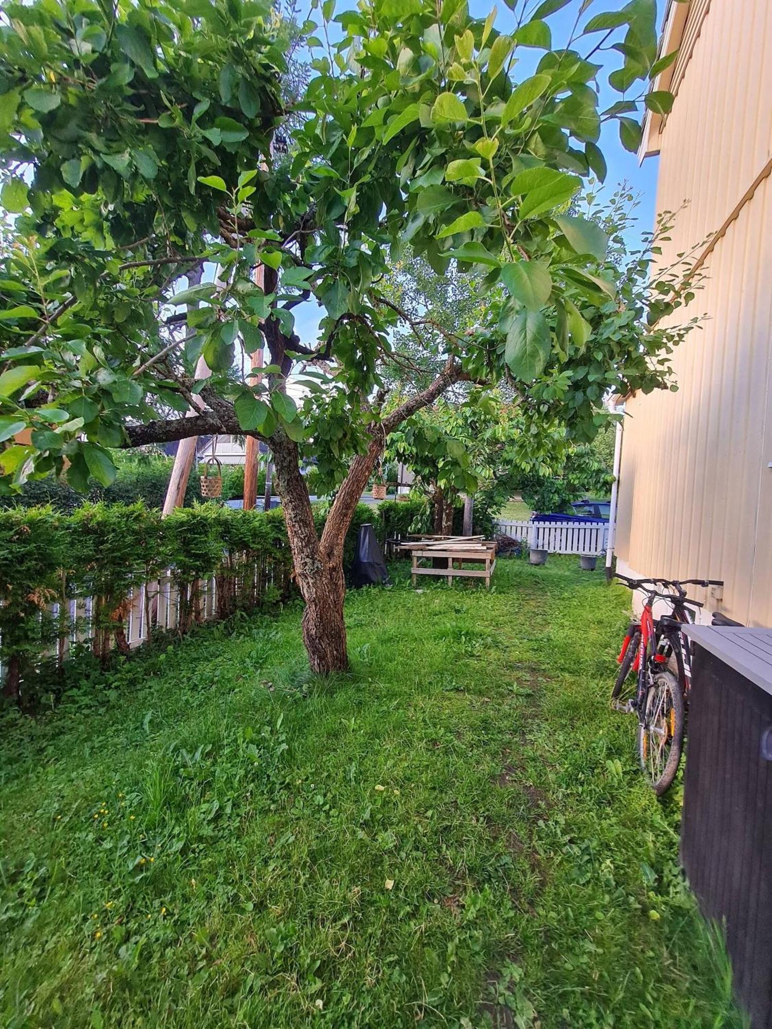 Cosy House, And Tranquil Oslo