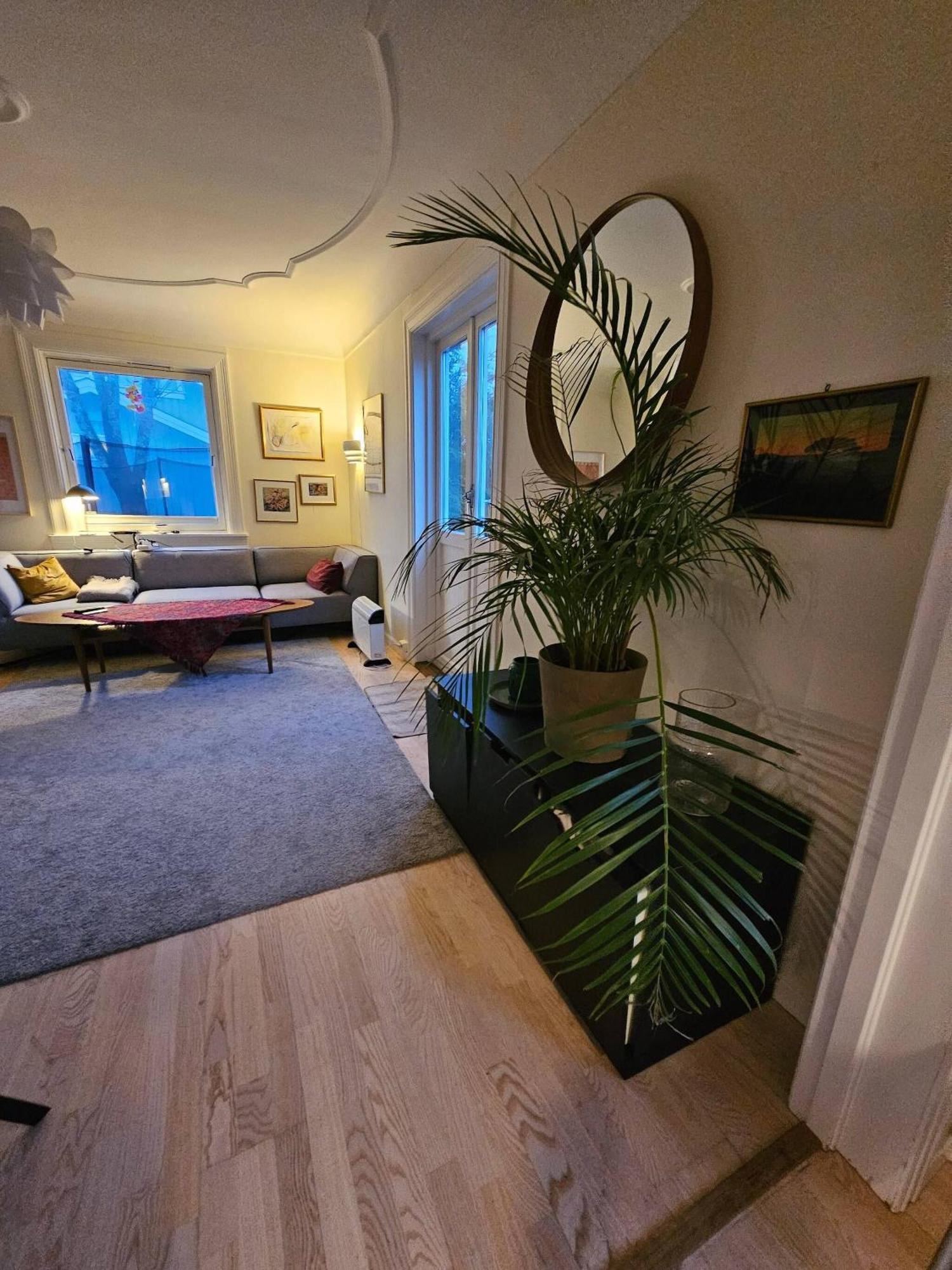 Cosy House, And Tranquil Oslo