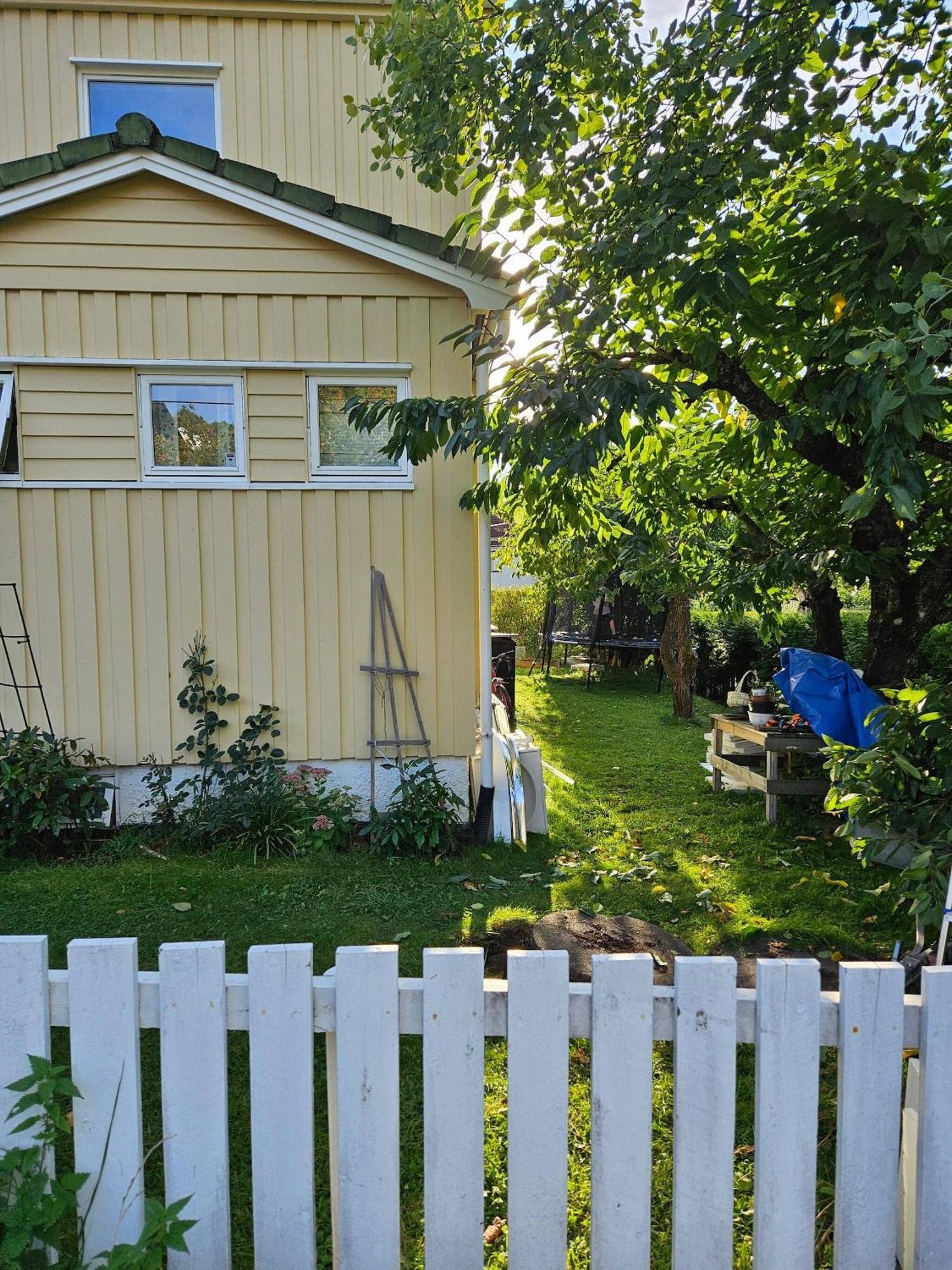 Cosy House, And Tranquil Apartamento *