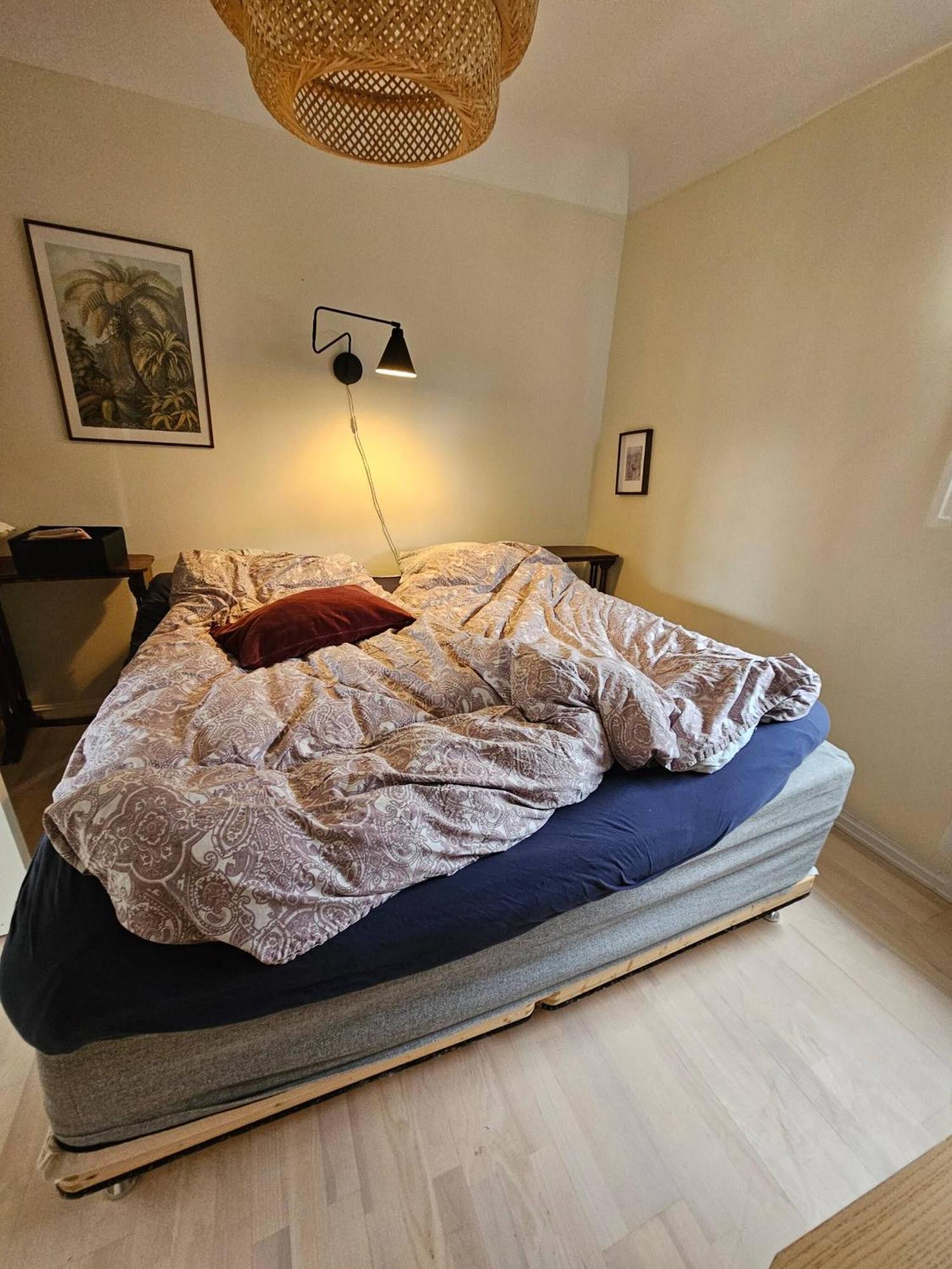 Cosy House, And Tranquil Apartment *